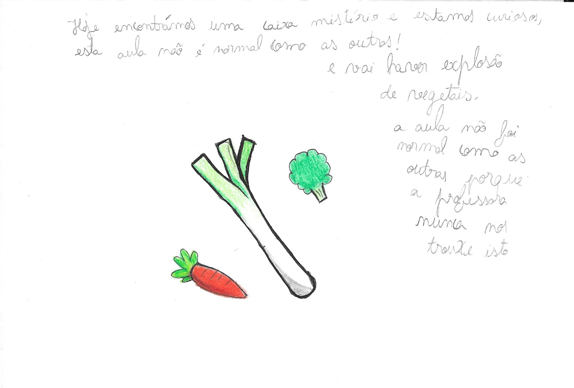 Texto e ilustração de Mélanie Moreira - 4.º H - EBIBA